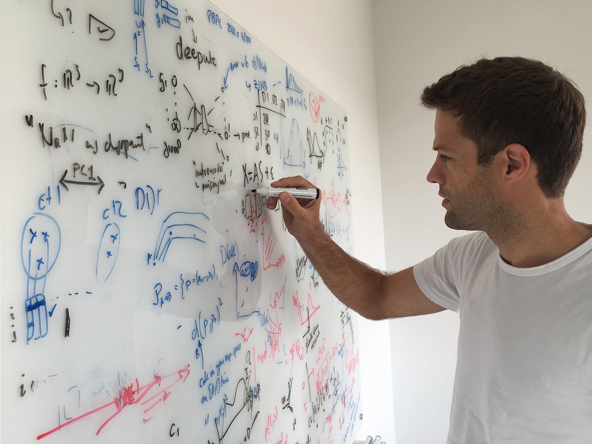 Das Bild zeigt Prof. Fabian Theis, beim Schreiben von Formeln an eine Tafel.