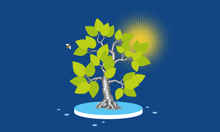 Illustrative image of photosynthesis with a tree in the sun