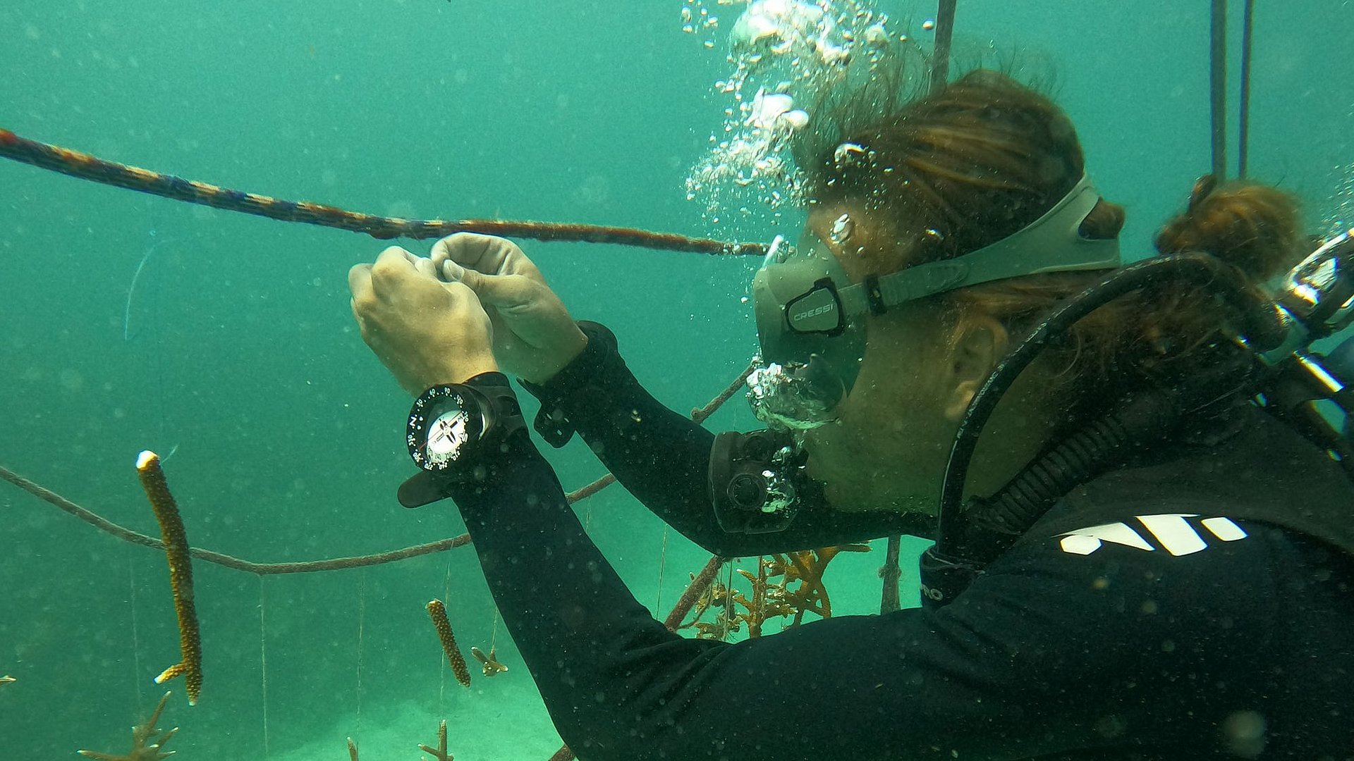 Christopher Chvalina in Tauchausrüstung unter Wasser