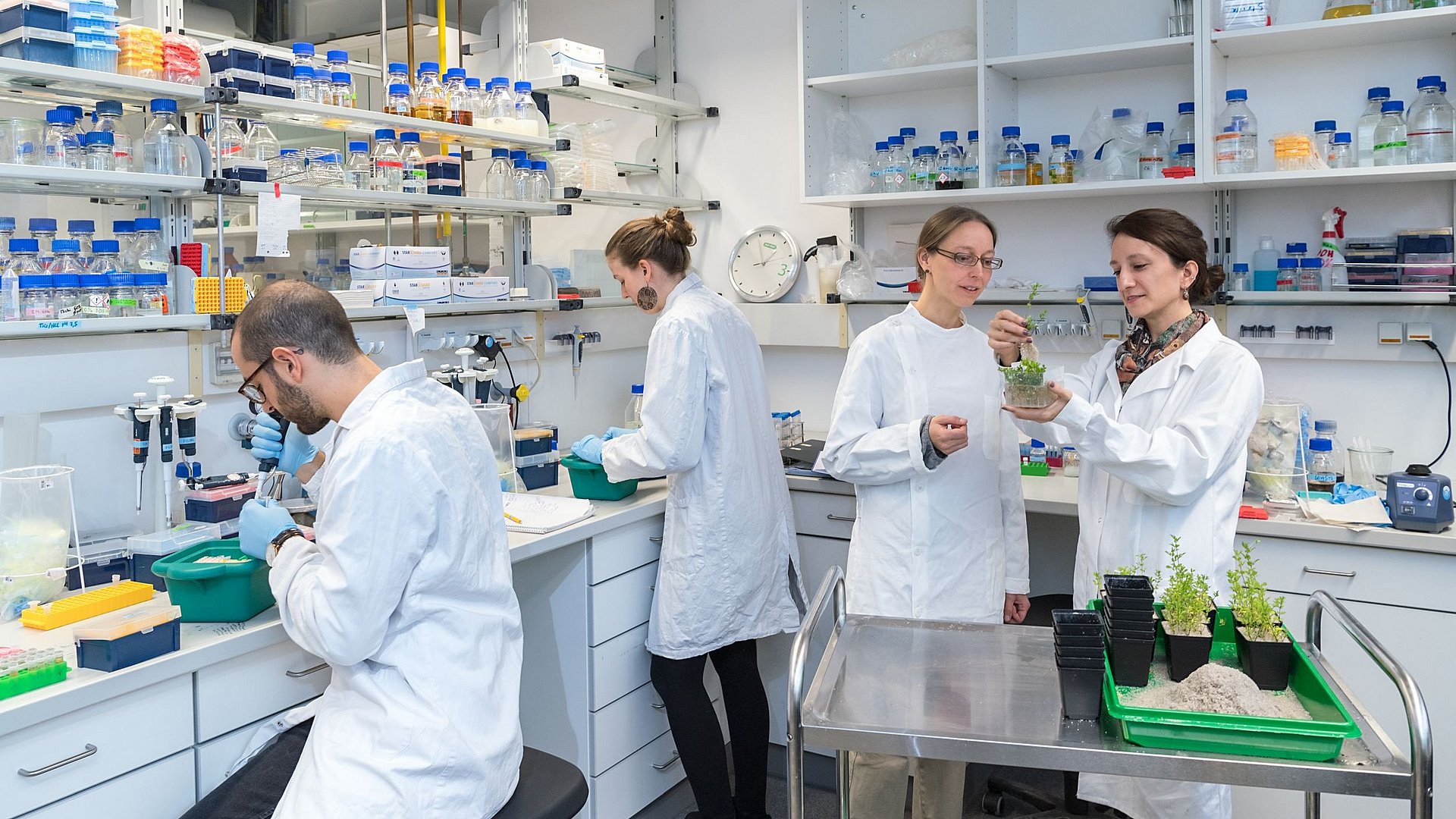 In a laboratory at TUM‘s School of Life Sciences in Weihenstephan