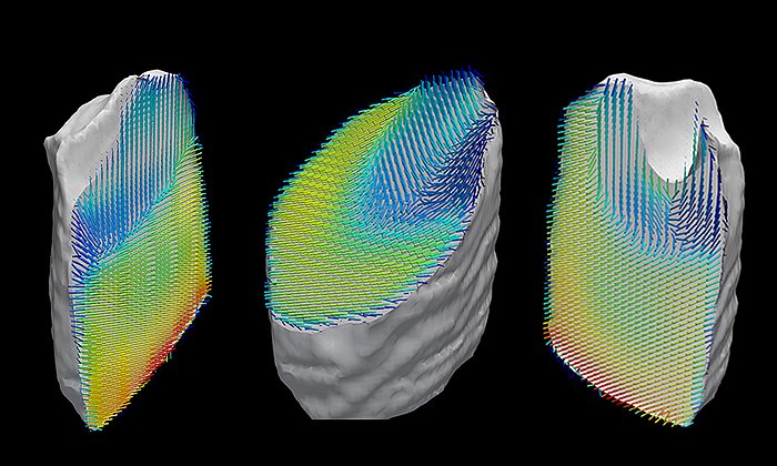 Darstellung der Orientierung der Kollagenfasern innerhalb einer Zahnprobe. Die Einzeldaten wurden mit Röntgenstreuung-CT aufgenommen und daraus eine dreidimensionale Nanostruktur der Probe berechnet. (Bild: Schaff et al. / Nature)