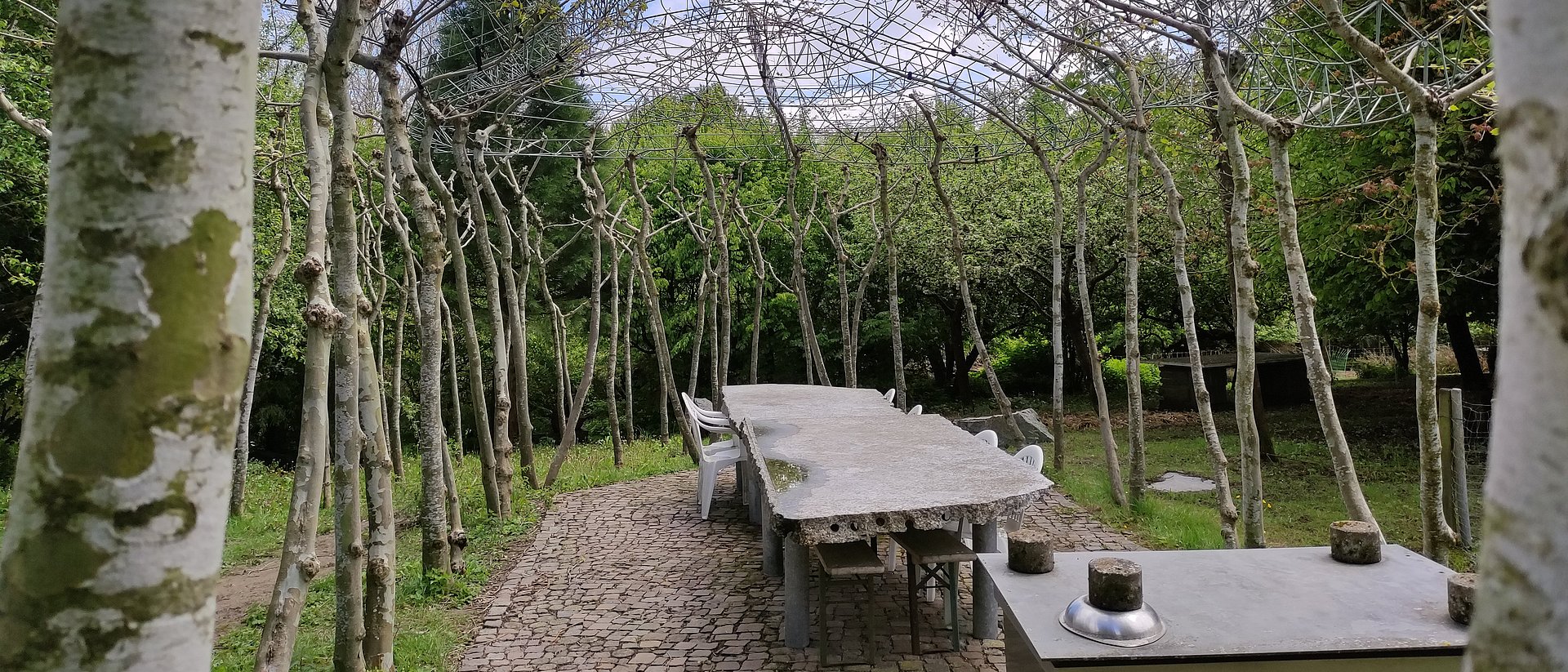 Ferdinand Ludwig, Professor für Green Technologies in Landscape Architecture, und sein Team bauen mit lebenden Werkstoffen.