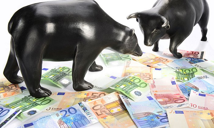 Bär und Bulle auf Euro-Scheinen