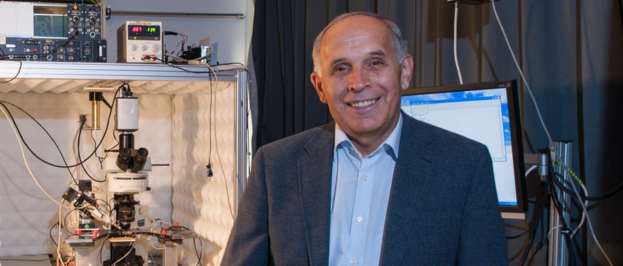 Prof. Arthur Konnerth. (Bild: Kurt Bauer / TUM) Prof. Arthur Konnerth.