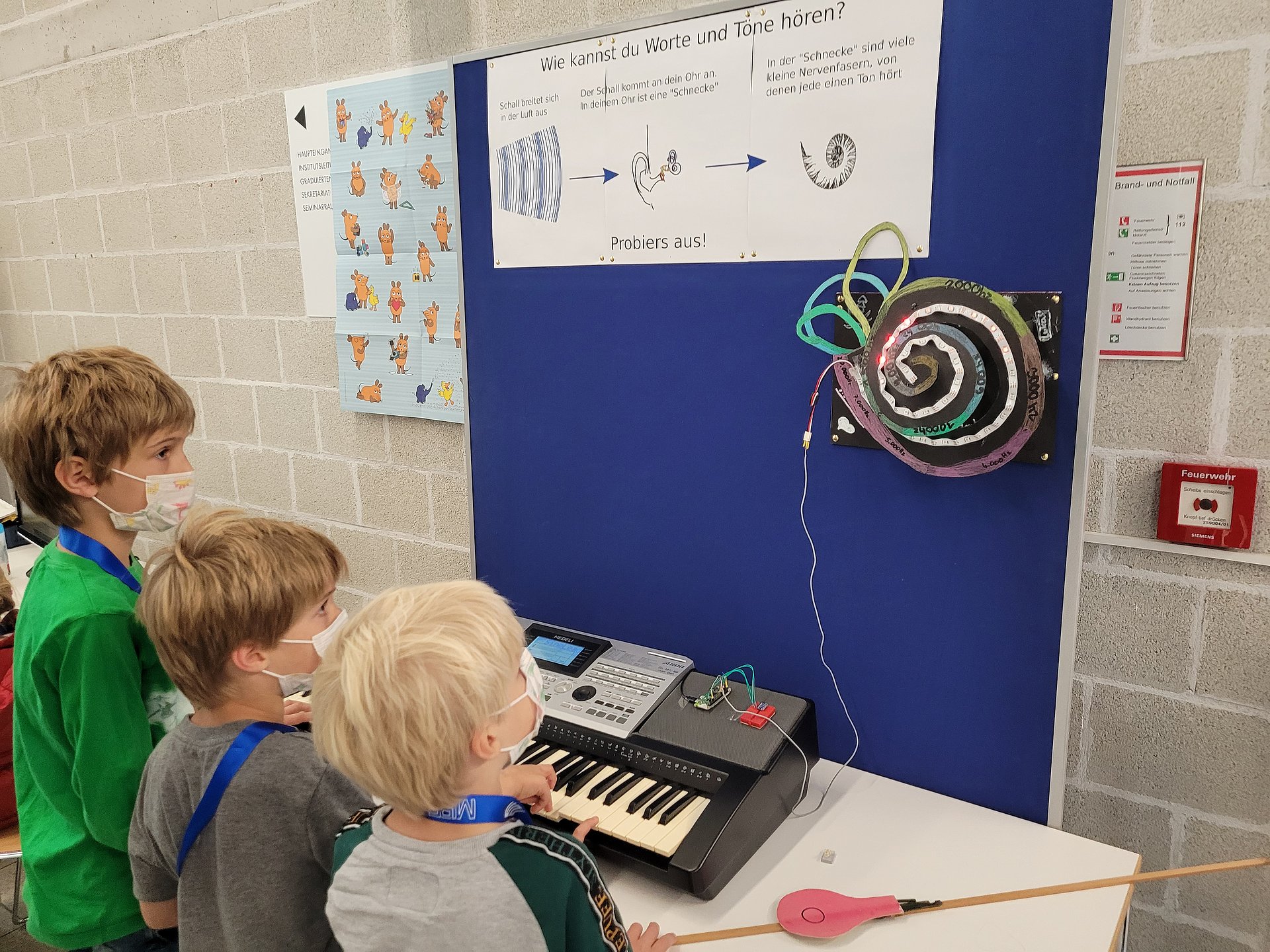 Children wearing masks and lanyards standing at a keyboard. The keyboard is connected to a large model of the human auditory system. The model consists of LED strips of different colors.