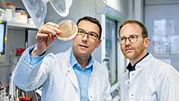 Die Forschenden betrachten eine Probe