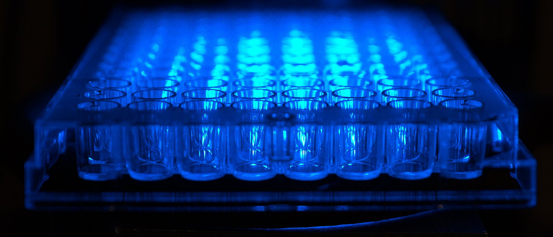 Experimental setup for blue light catalysis.