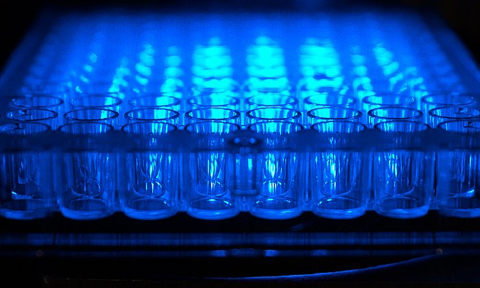 Experimental setup for blue light catalysis.