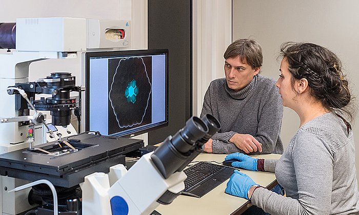 Erstautorin Aurore Dupin und Prof. Friedrich Simmel am Fluoreszenzmikroskop. (Bild: U. Benz / TUM)