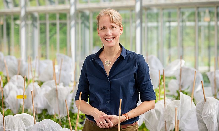 Prof. Brigitte Poppenberger in a greenhouse.