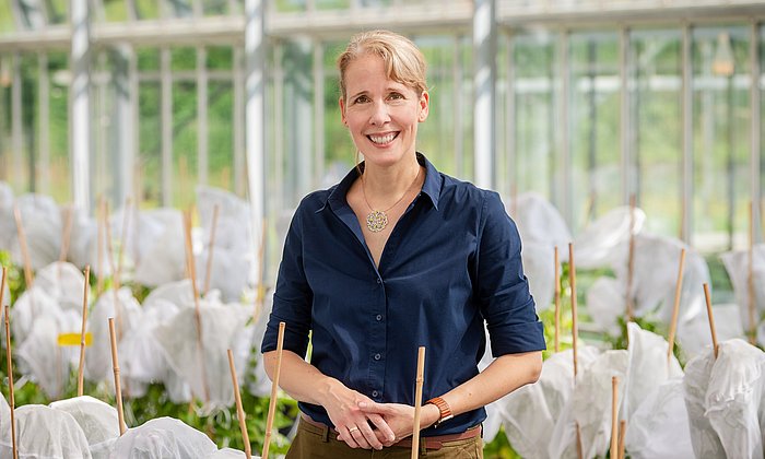 Prof. Brigitte Poppenberger im Gewächshaus.