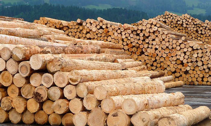 Bei der Kaskadennutzung wird das Holz mit einer Quote von 46 Prozent deutlich effizienter verwendet als bei der einfachen Nutzung. (Foto: R. Rosin / TUM)