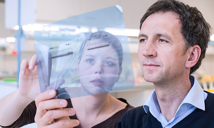 Prof. Jürgen Ruland (rechts) erforscht mit seiner Arbeitsgruppe unter anderem die Entstehung und Bekämpfung von Lymphomen. (Bild: A. Heddergott / TUM)