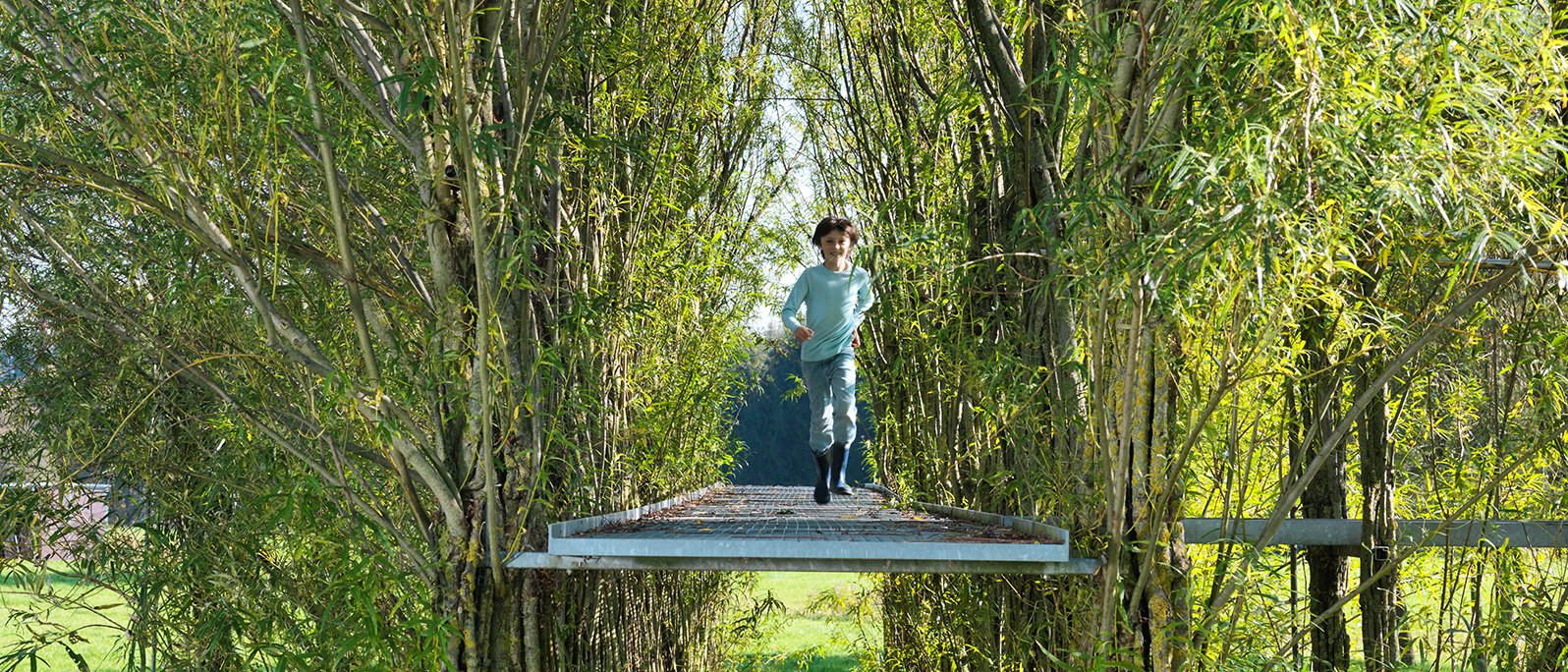Professur für Green Technologies in Landscape Architecture Ein Kind läuft auf einem Steg zwischen Korbweidensträuchern
