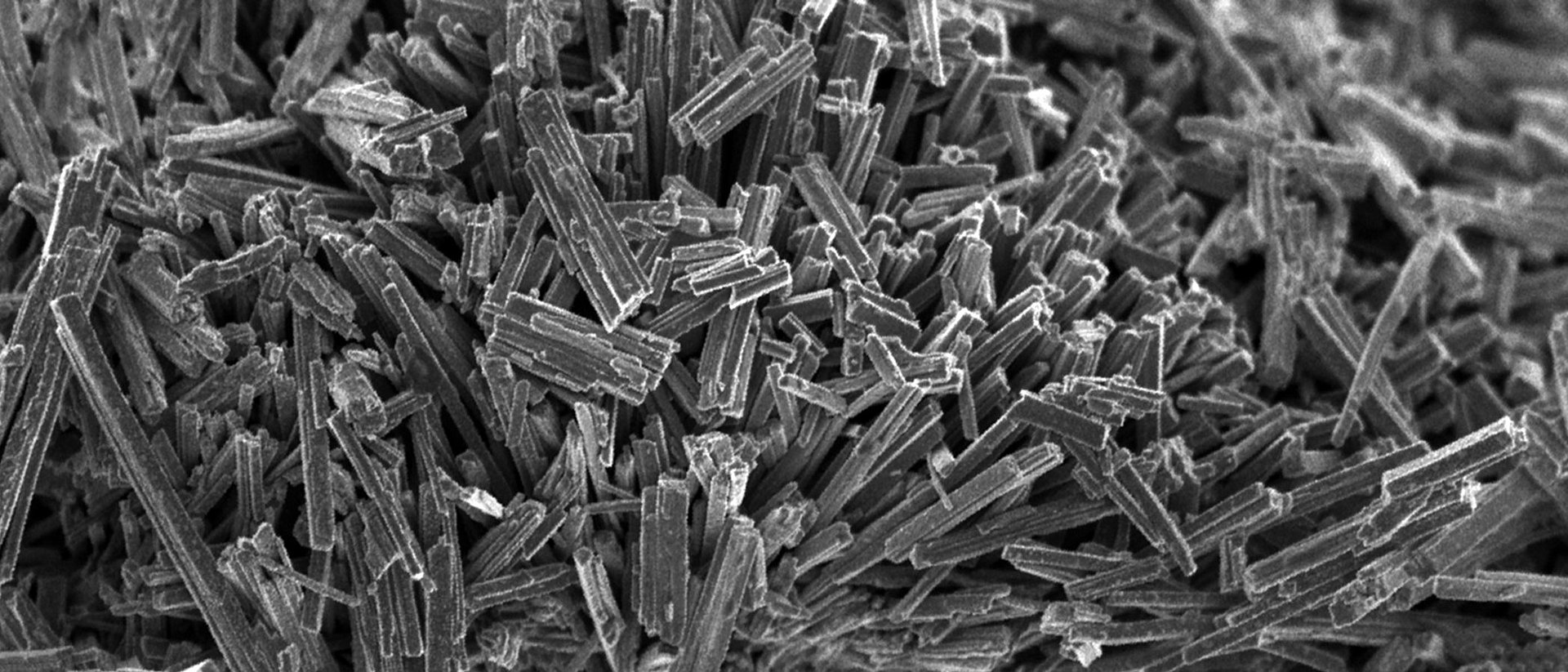 Nickel-Molybdänsulfid-Katalysator nach der Säurebehandlung. Ein Foto eines Katalysators, stark vergrößert unter einem Mikroskop, nach der Säurebehandlung.