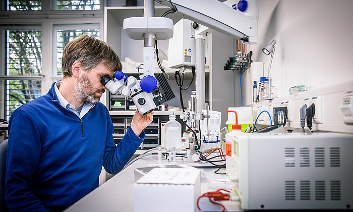 Prof. Thomas Misgeld ist Direktor des Instituts für Zellbiologie des Nervensystems an der TUM und Koordinator des Exzellenzclusters "SyNergy".