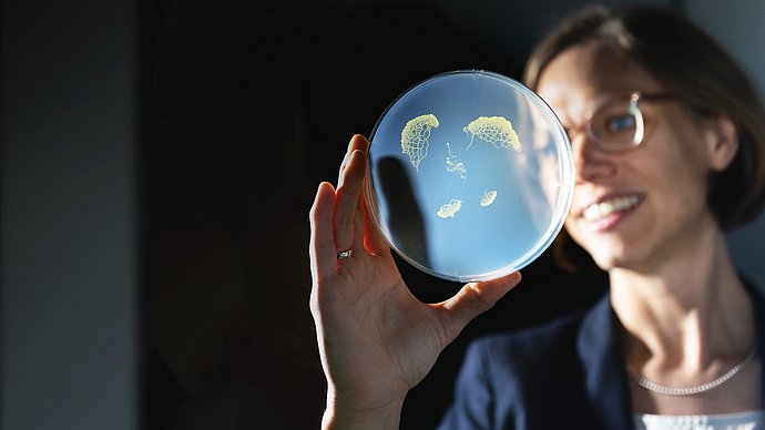 Biophysics professor Karen Alim holds a petri dish with fungal colonies up to the light.