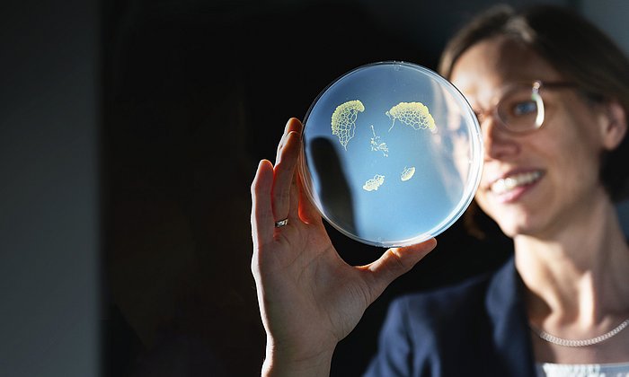 Biophysics professor Karen Alim holds a petri dish with fungal colonies up to the light.