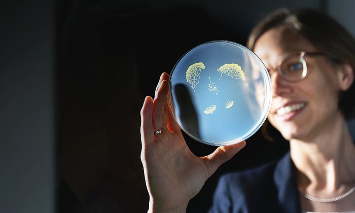 Biophysics professor Karen Alim holds a petri dish with fungal colonies up to the light.