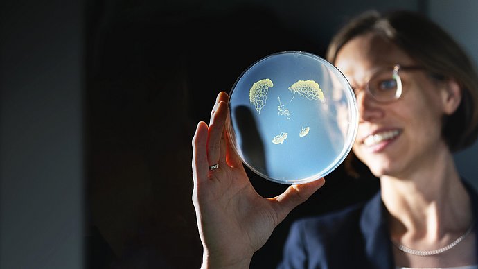Biophysics professor Karen Alim holds a petri dish with fungal colonies up to the light.