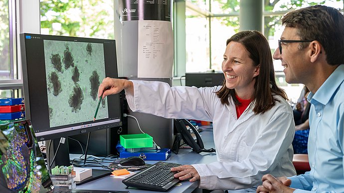 Prof. Dirk Haller und Dr. Olivia Coleman betrachten auf einem Bildschirm Bilder eines Darm-Organoids