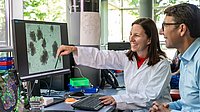 Prof. Dirk Haller and Dr. Olivia Coleman betrachten auf einem Bildschirm Bilder eines Darm-Organoids