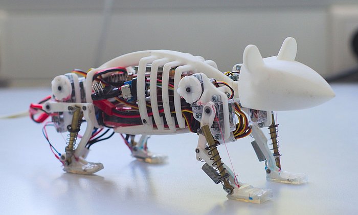 Mithilfe Künstlicher Intelligenz lernt die Robotermaus zu gehen wie eine lebende Maus.