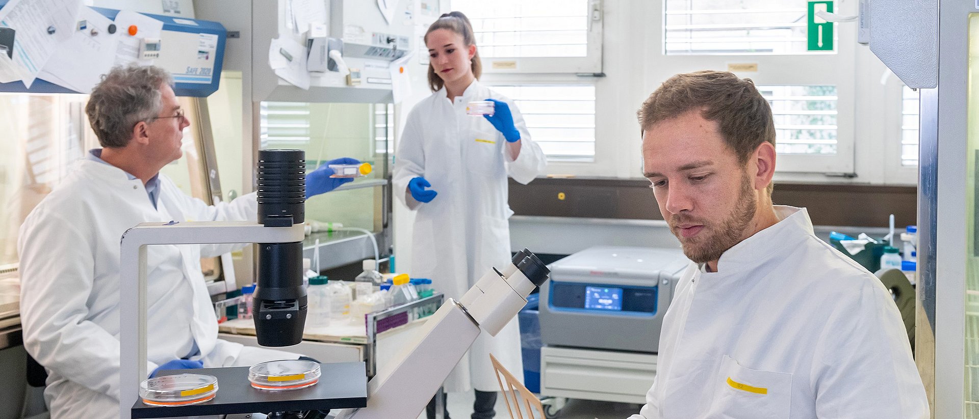 Prof. Krüger, Celina Eckfeld and Chris D. Hermann in their laboratory at the Klinikum rechts der Isar. Prof. Krüger, Celina Eckfeld and Chris D. Hermann in their laboratory at the Klinikum rechts der Isar.