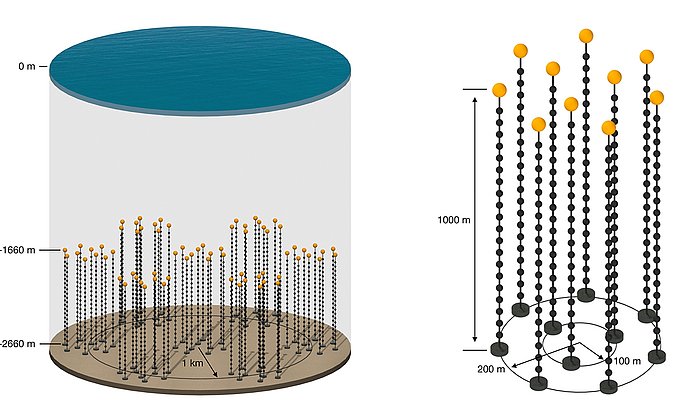 Skizze des geplanten Neutrino-Teleskops P-ONE im Pazifischen Ozean (links). Das Teleskop soll modular aufgebaut sein und aus sieben gleichen Detektorsegmenten bestehen (rechts), wovon das erste in 2023/24 installiert werden soll. 