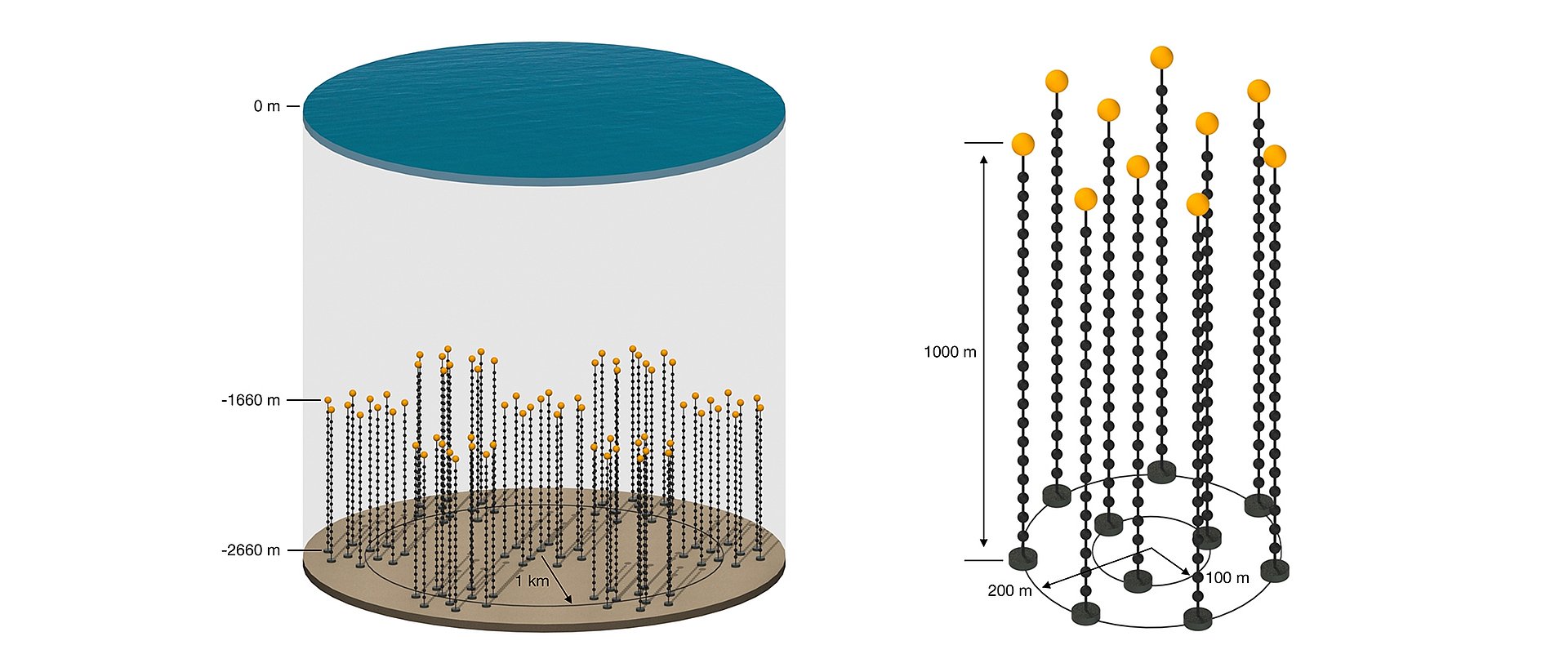 Design of the planned P-ONE neutrino telescope in the Pacific Ocean (left). The telescope will have a modular structure and consist of seven identical detector segments (right), the first of which will be installed in 2023/24. 