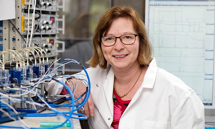 Dagmar Krüger vom Lehrstuhl für Humanbiologie der TUM hat über einen Zeitraum von acht Jahren mehr als 2200 Proben von rund 450 Patienten mit Darmerkrankungen untersucht. (Foto: TUM/ A. Eckert)