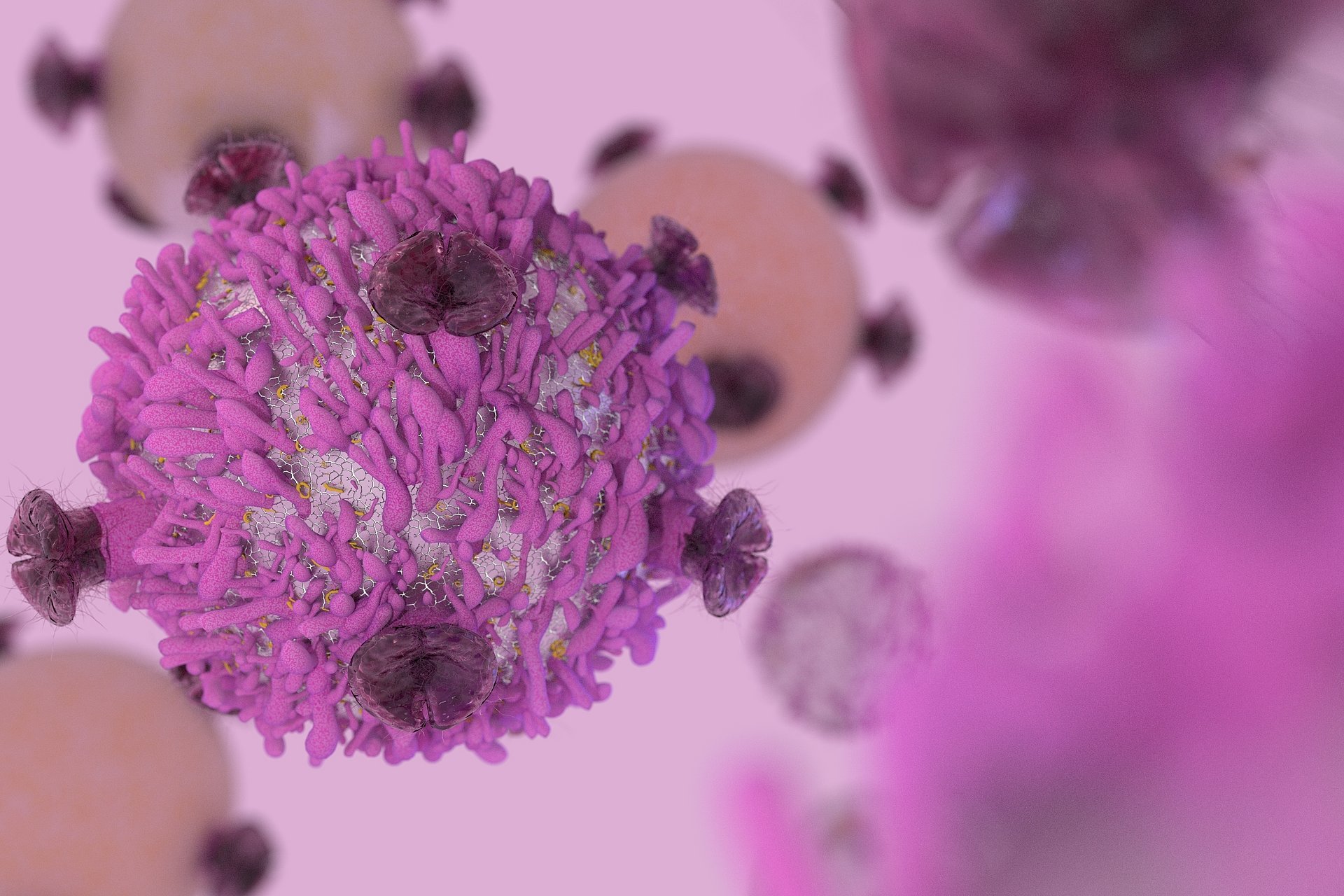 T-cell lymphocytes with receptors for killing cancer cells in cancer immunotherapy.