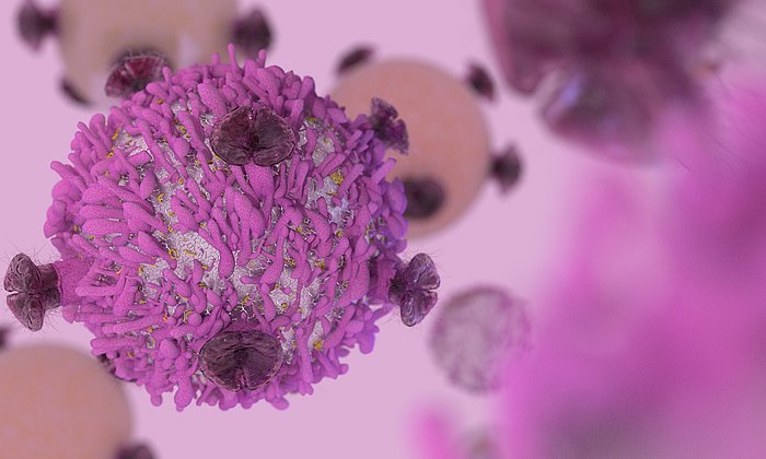 T-Zell-Lymphozyten mit Rezeptoren zur Abtötung von Krebszellen in der Krebsimmuntherapie.
