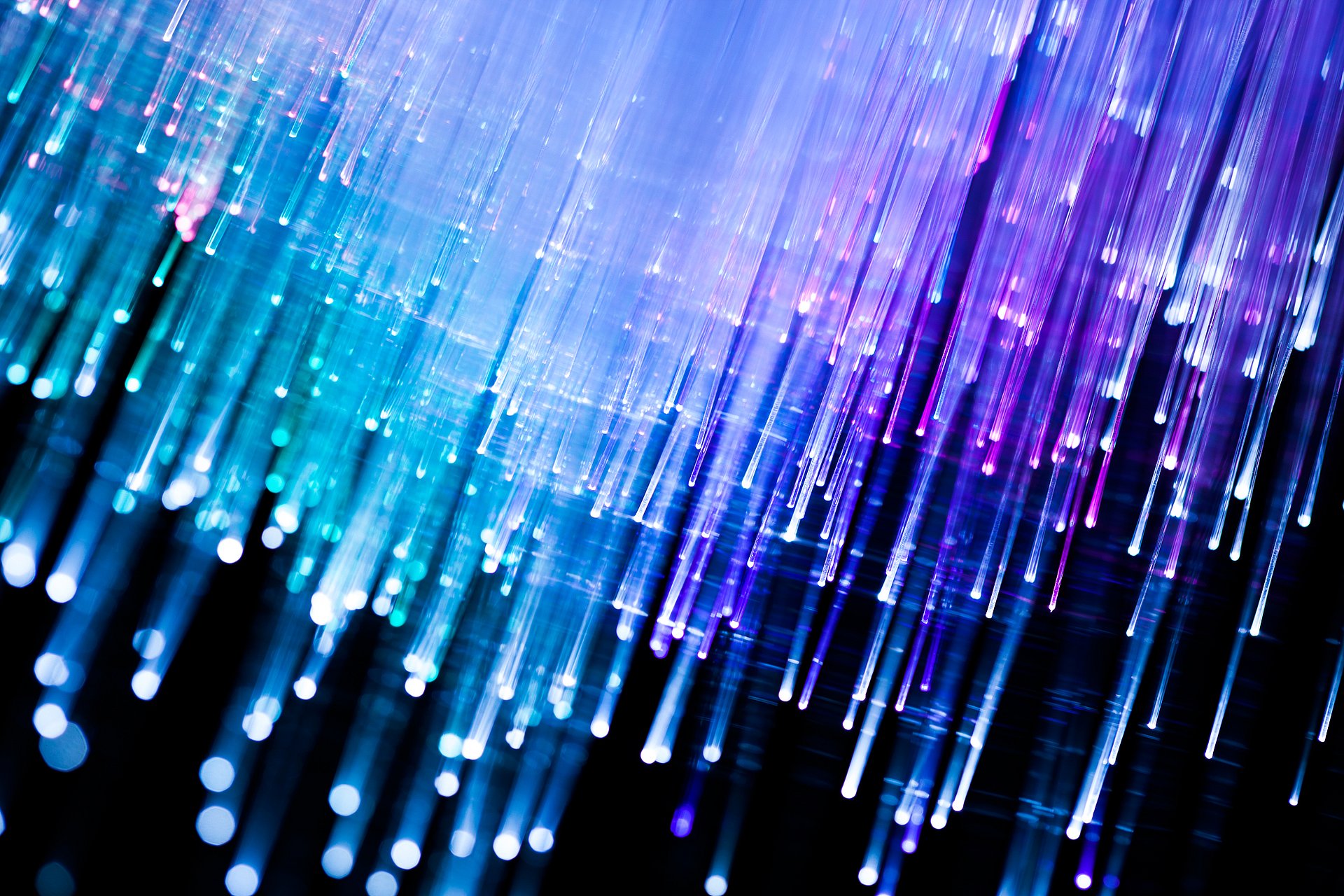 Fiber strands of an optic cable.