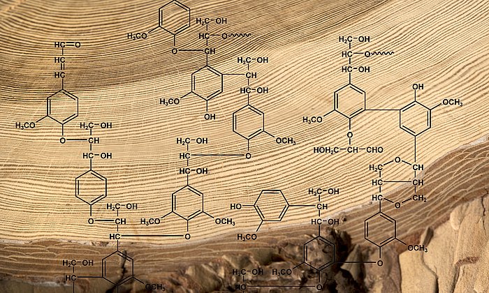Wood with chemical signs