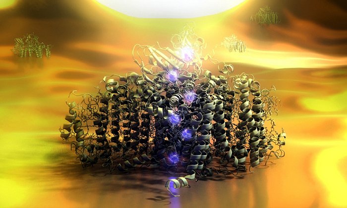 Graphical image of a photosystem I-complex which is lit by the tip of a optical near-field microscope