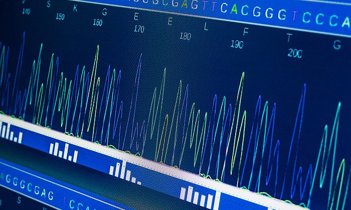 The method of single-cell analysis is being used to find out which DNA segments become active for the biosynthesis of a cell. (Image: iStockphoto.com / D-Keine)
