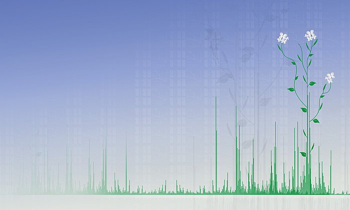 Grafik einer Ackerschmalwand integriert in ein Balkendiagramm.