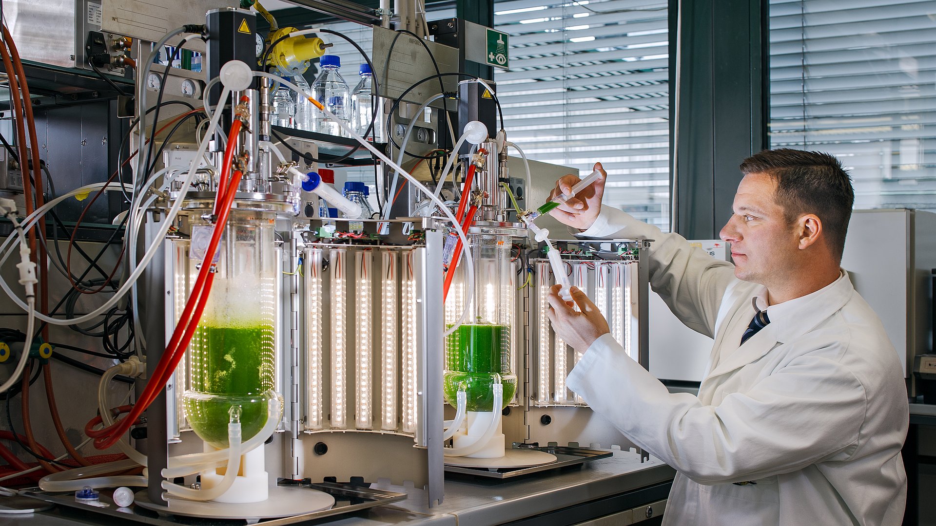 Prof. Thomas Brück bei der Probenentnahme am Photobiorektor am Werner Siemens Lehrstuhl für Synthetische Biotechnologie. Diese Bioreaktoren nutzten die Forschenden, um Biomasse der untersuchten Cyanobakterien-Stämme zu produzieren. 