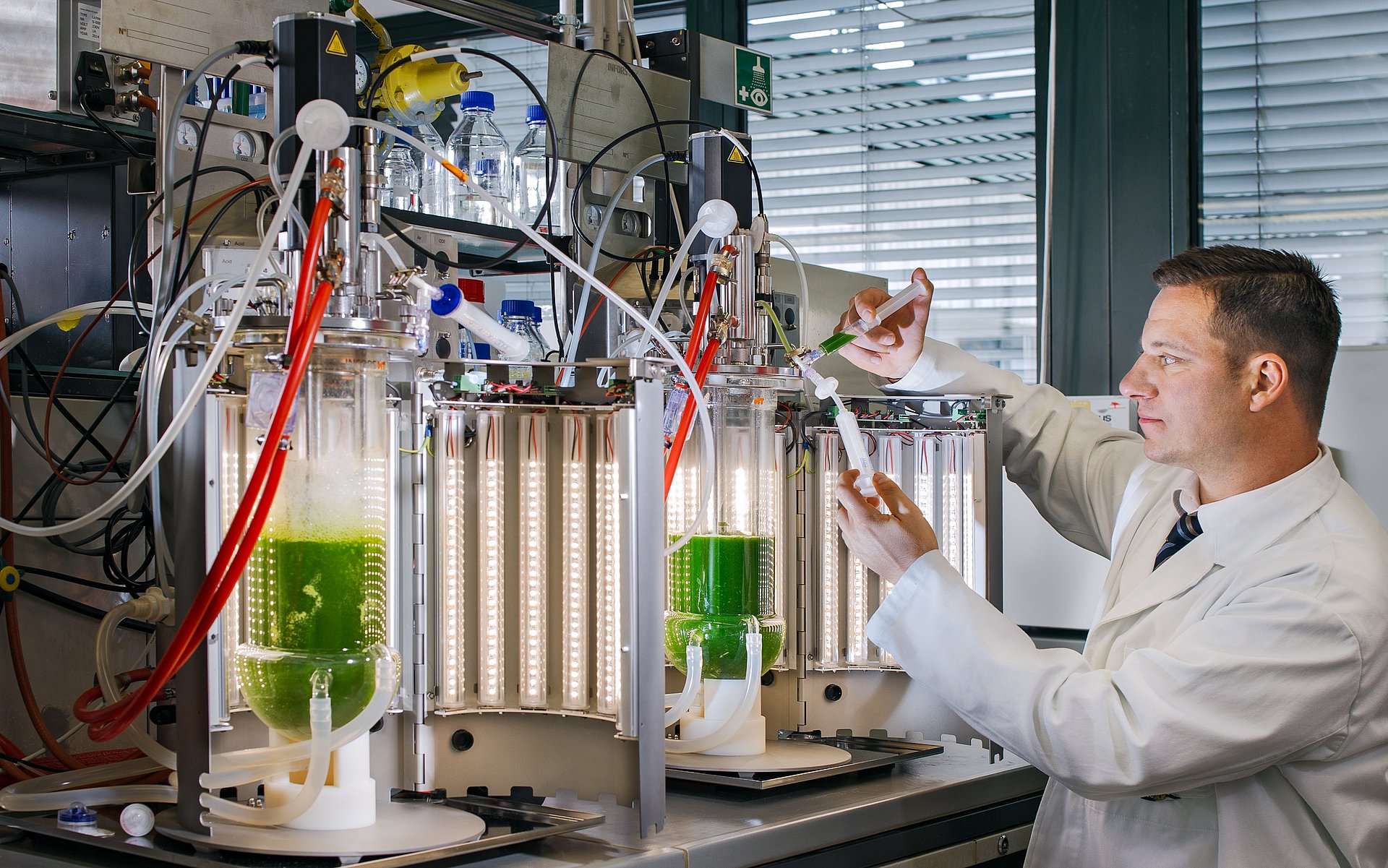 Prof. Thomas Brück taking samples at the photobioreactor at the Werner Siemens-Chair of Synthetic Biotechnology. The researchers used these bioreactors to produce biomass of the strains of cyanobacteria for the study. 