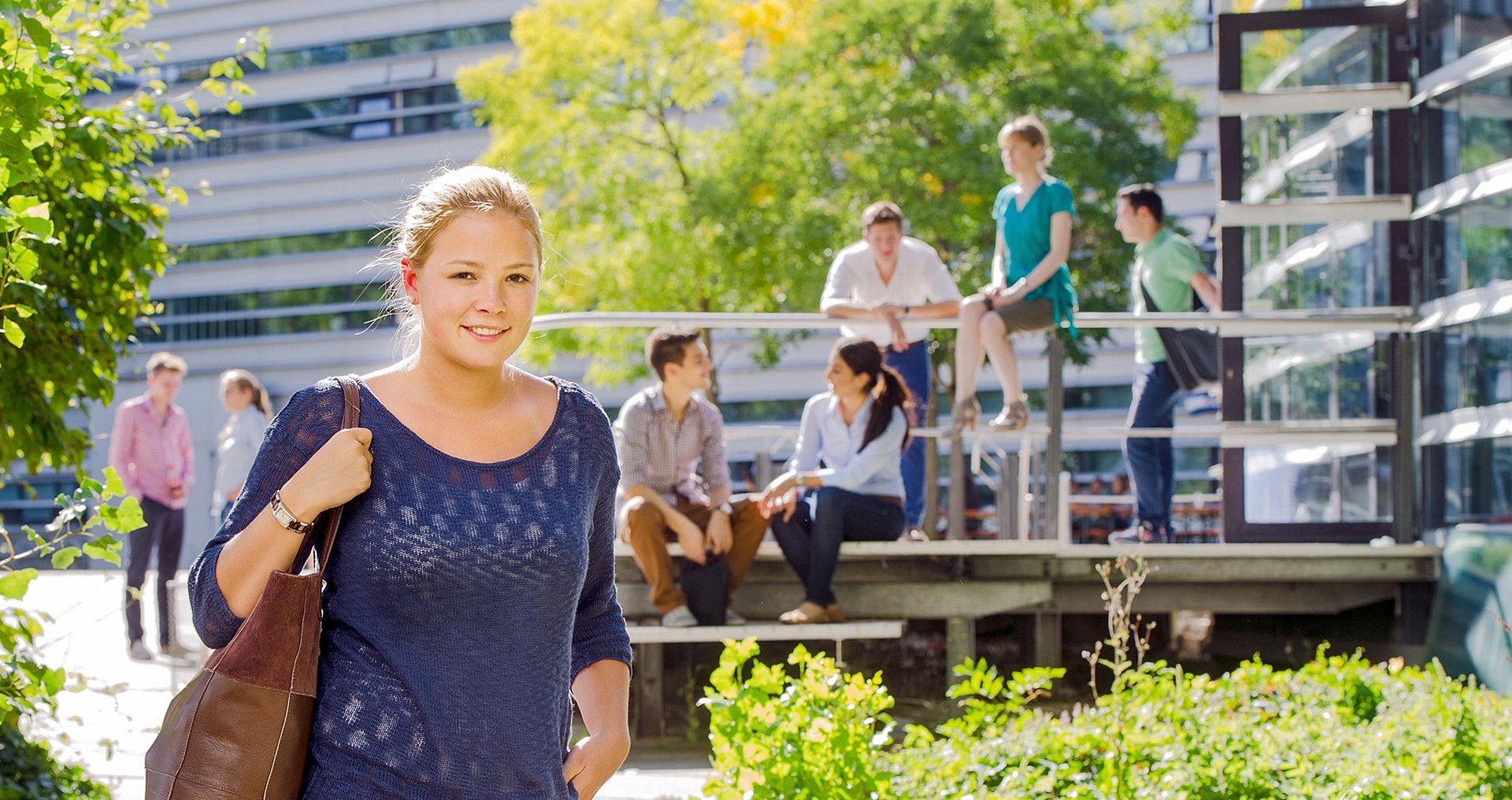 Enrollment Info Portal