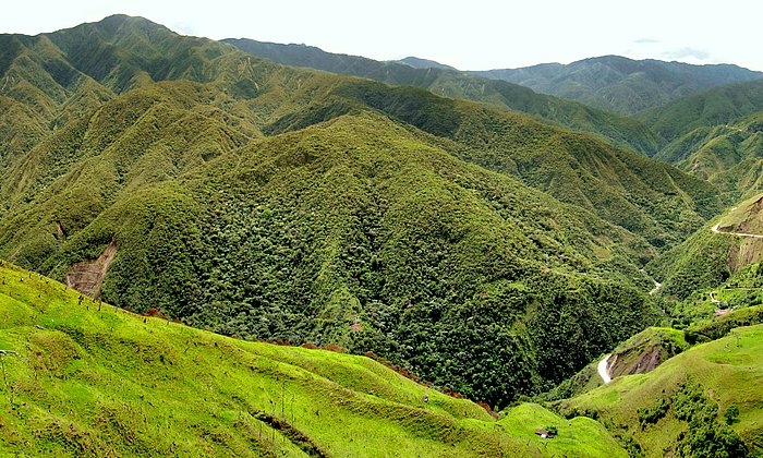 Researchers present new aspects of land use for Ecuador.