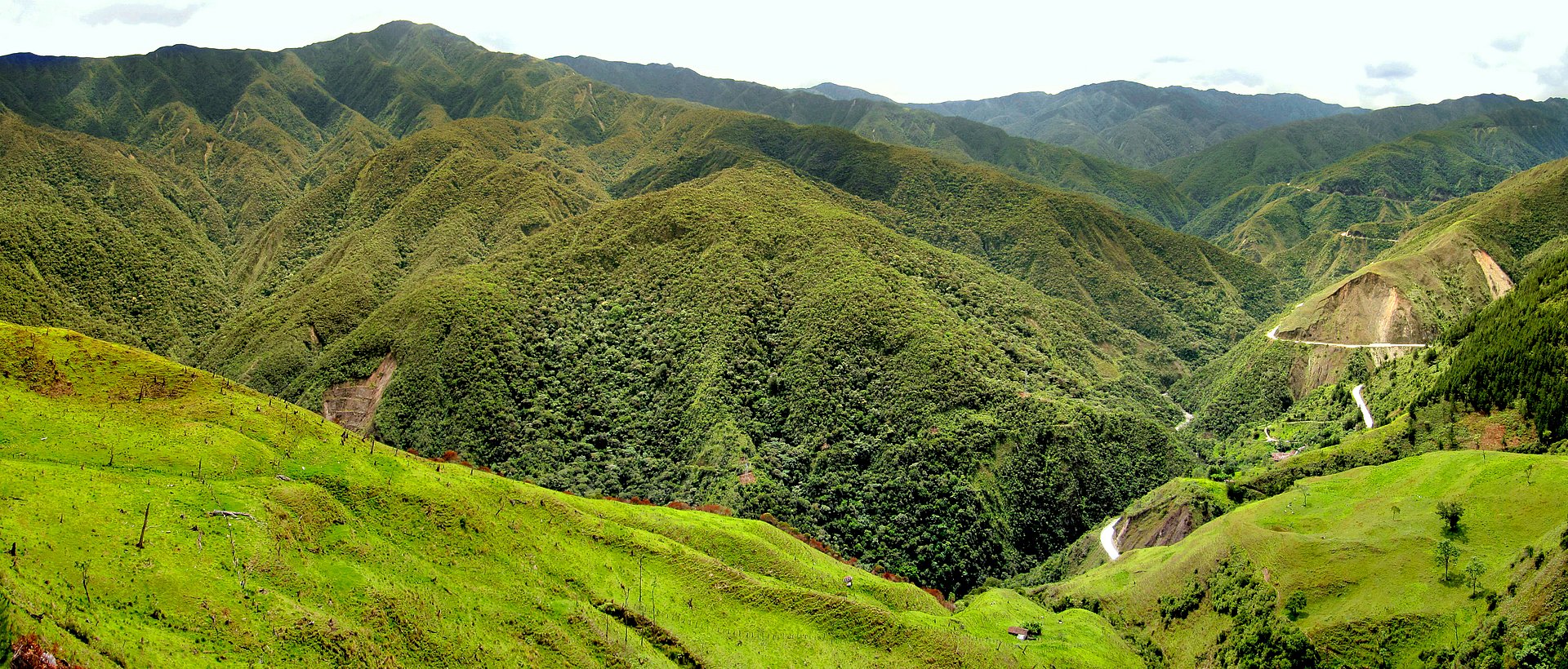 Forscher stellen neue Aspekte zur Landnutzung für das tropische Ecuador vor.