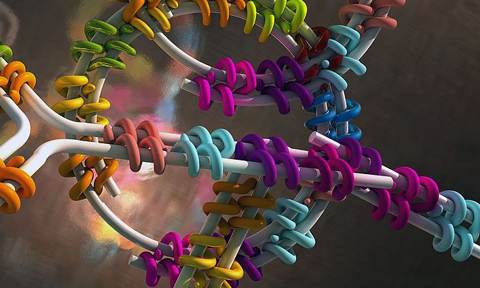 Doppelsträngige DNA kann mithilfe von Proteinen in dreimdimensionale Formen gefaltet werden. (Bild: Ella Maru Studio & Dietz Lab / TUM)