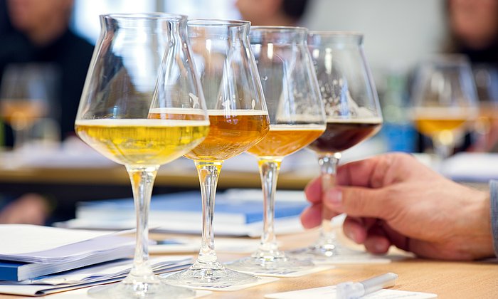 Bier im Sensoriktest: Es enthält 33 Geschmackskategorien, nach denen Experten ein Bier überprüfen. (Foto: A. Heddergott / TUM)
