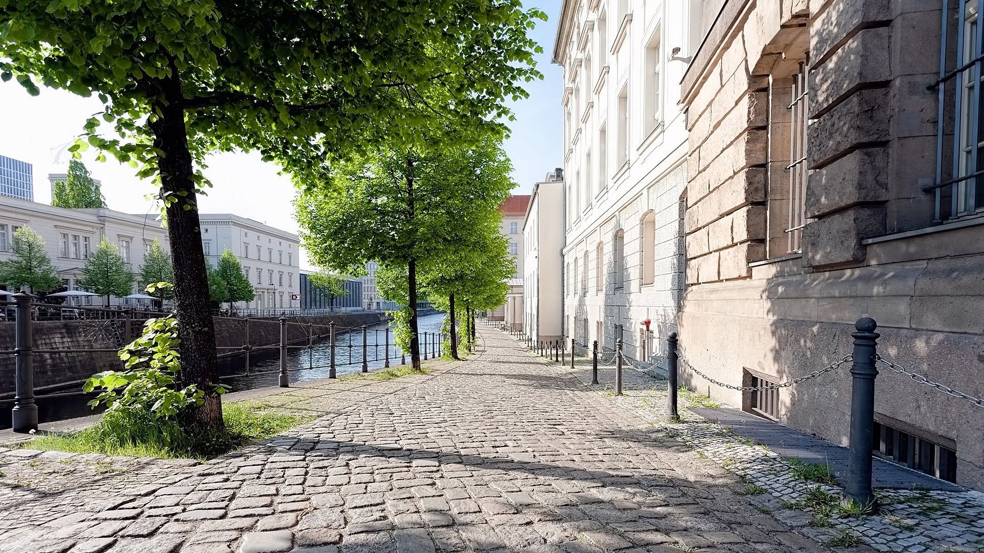 Die Forschungsergebnisse zeigen, dass sich nicht jeder Baum für jede Stadt gleich gut eignet. Eine Reihe mittelgroßer Linden an einem großstädtischen Kanal. Es ist Sommer und sie werfen etwas Schatten auf das Kopfsteinpflaster und eine Reihe Mehrfamilienhäuser.
