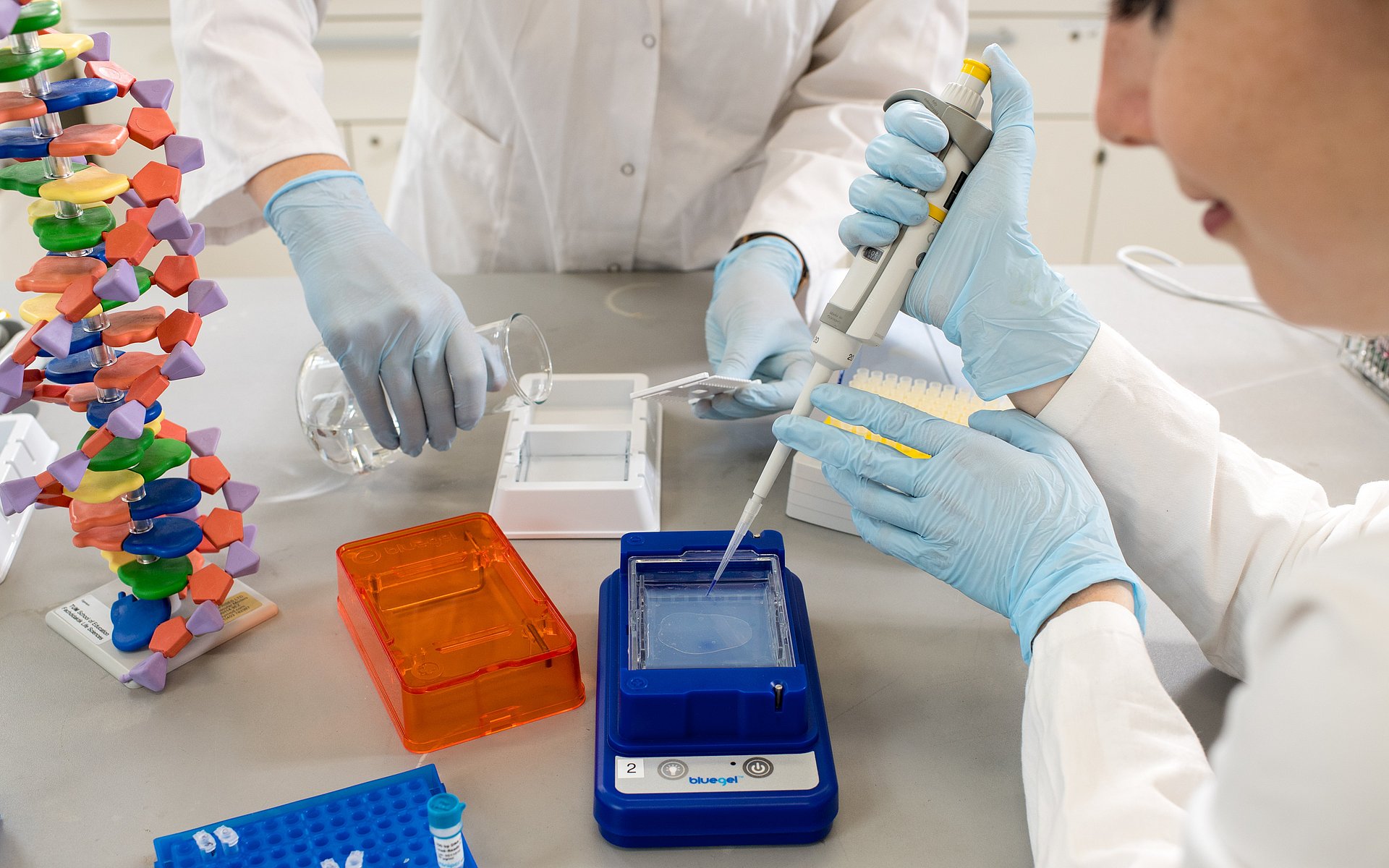 TUM School of Education - Fachdidaktik Life Sciences (Prof. Claudia Nerdel) : Lehrerfortbildung fuer den Bereich Biotechnologie; im Bild: Dr. Patricia Schoeppner, Projektkoordinatorin des Amgen Biotech Experience Programs an der TUM, (links im Bild) und D Eine Frau arbeitet mit biotechnologischer Ausrüstung.