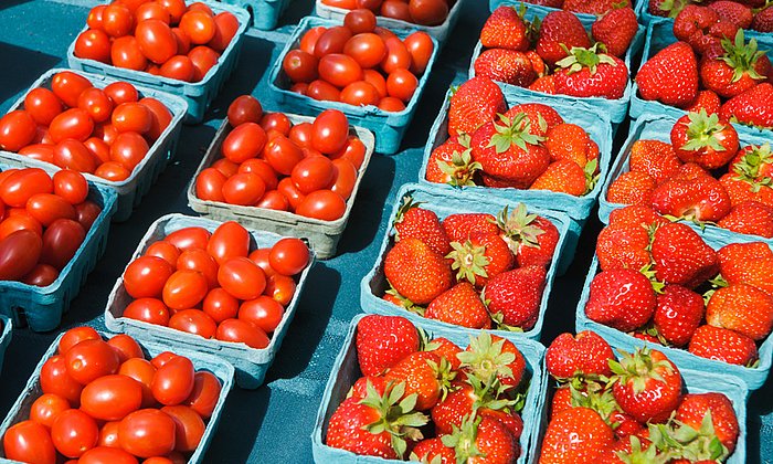 Sie zählen zu den meistverzehrten Frucht- und Gemüsesorten: Erdbeeren und Tomaten. Viele Menschen reagieren allergisch auf sie, vor allem bei einer zugleich auftretenden Birkenpollenallergie. (Bild: K. Wiedemann/ iStockphoto)