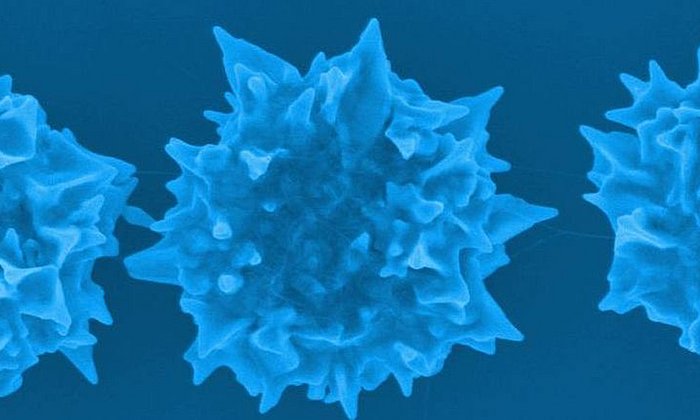 Nanostruktur