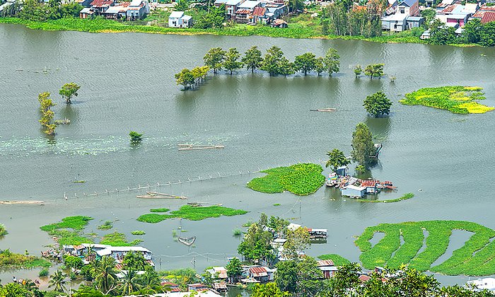 Überflutete Reisfelder im Mekong-Delta in Vietnam. (Foto: iStock / Huy Thoai)